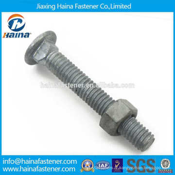 Fabriqué en Chine Steel Steel METRIC Grade8.8 10.9 HDG Carriage Bolt